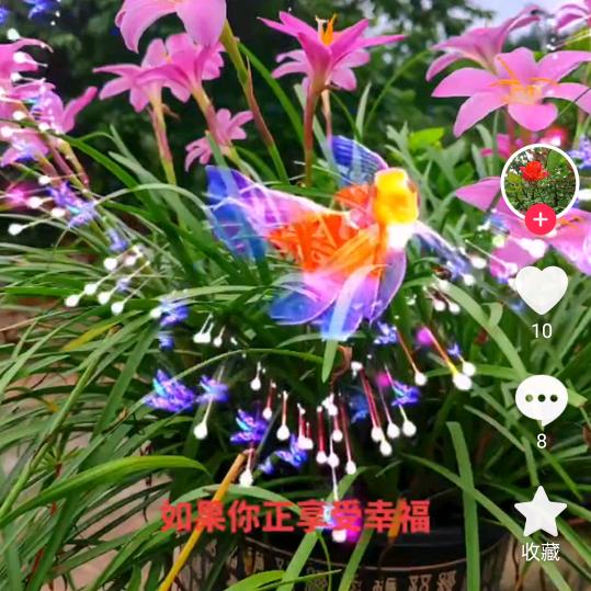 今生相遇