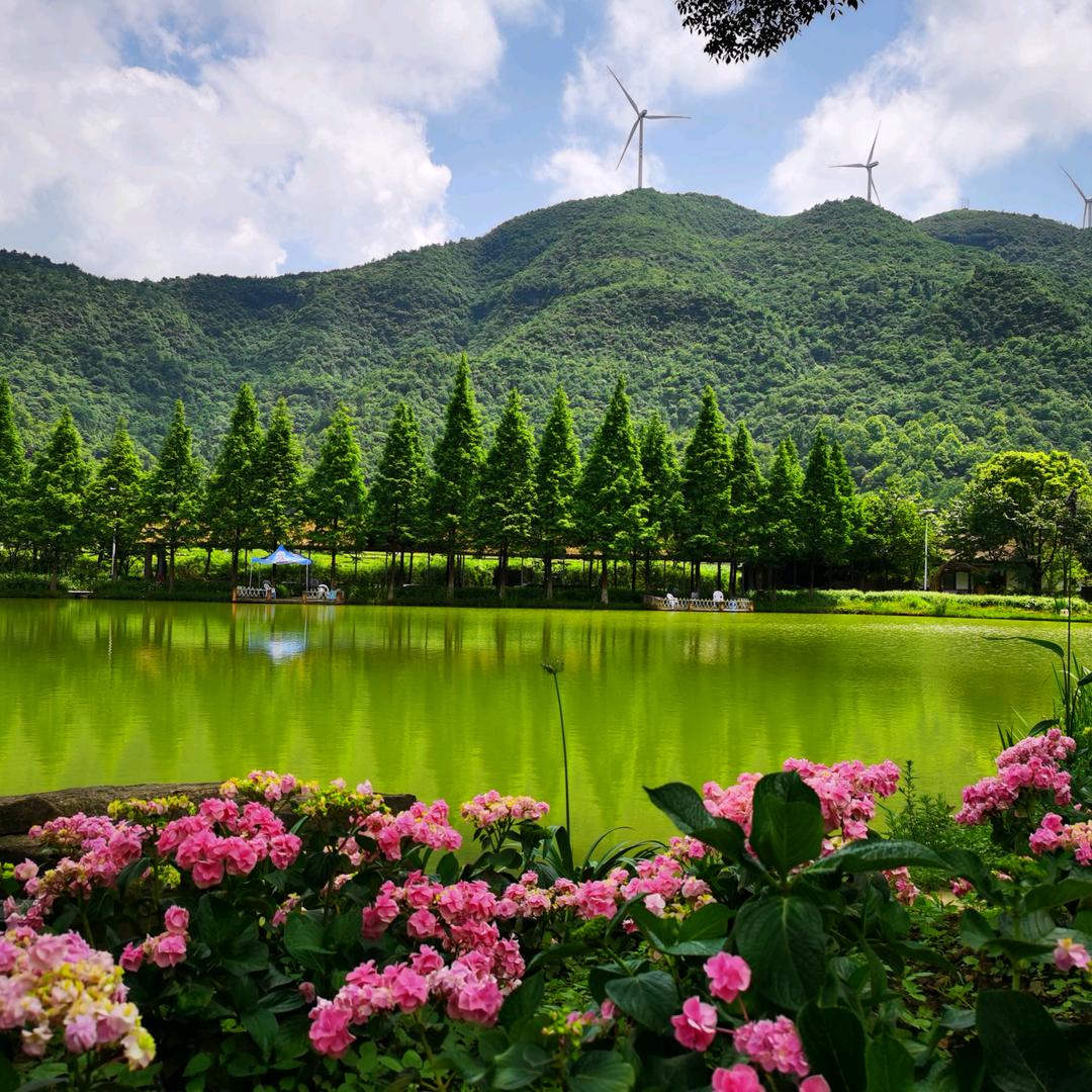 用户555645547609餐饮人