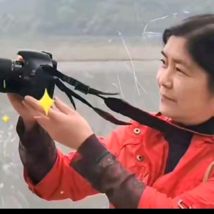 摇滚乐
