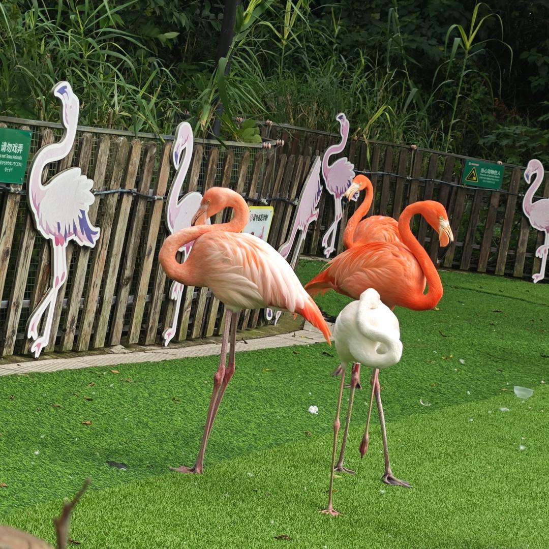 相濡以沫👨‍👩‍👧‍👧