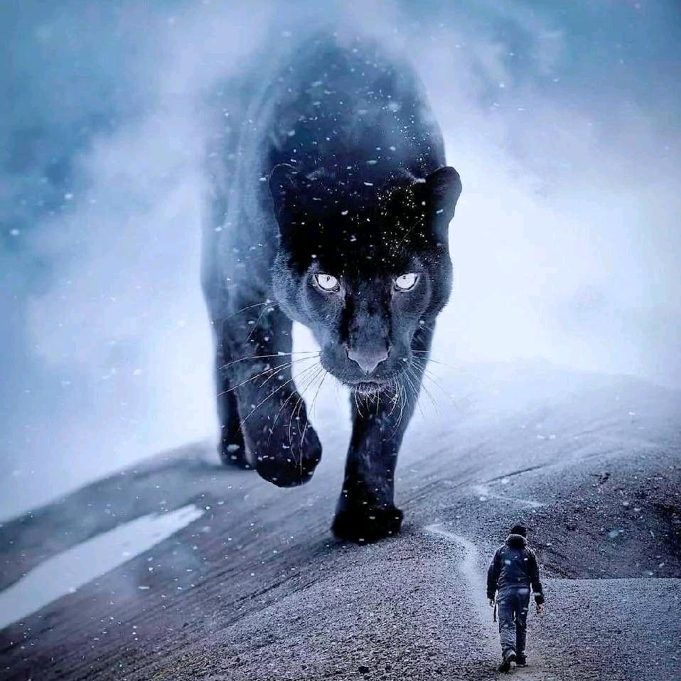 ℳঞᩚ星꧔ꦿ᭄ꦿ辰