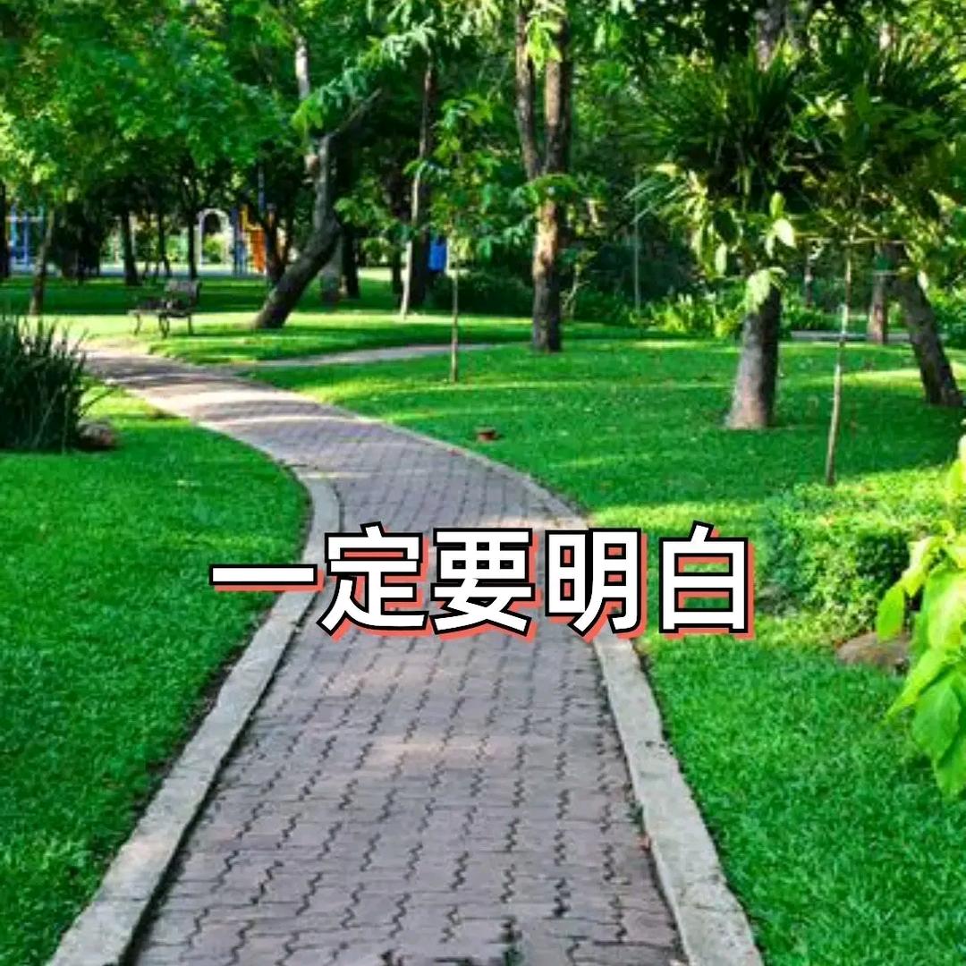 今生无缘