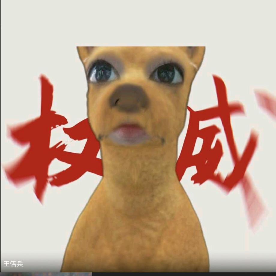 权威狗