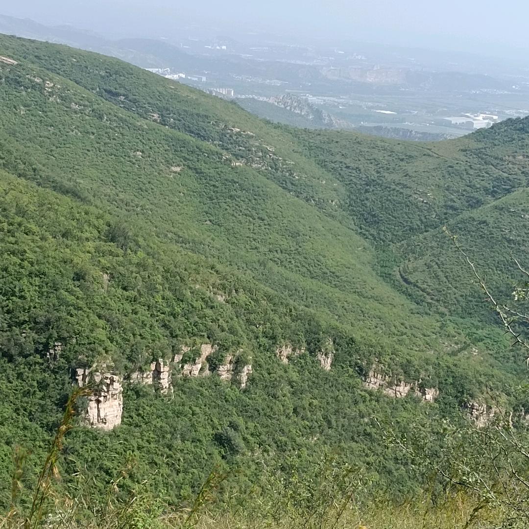 老光棍