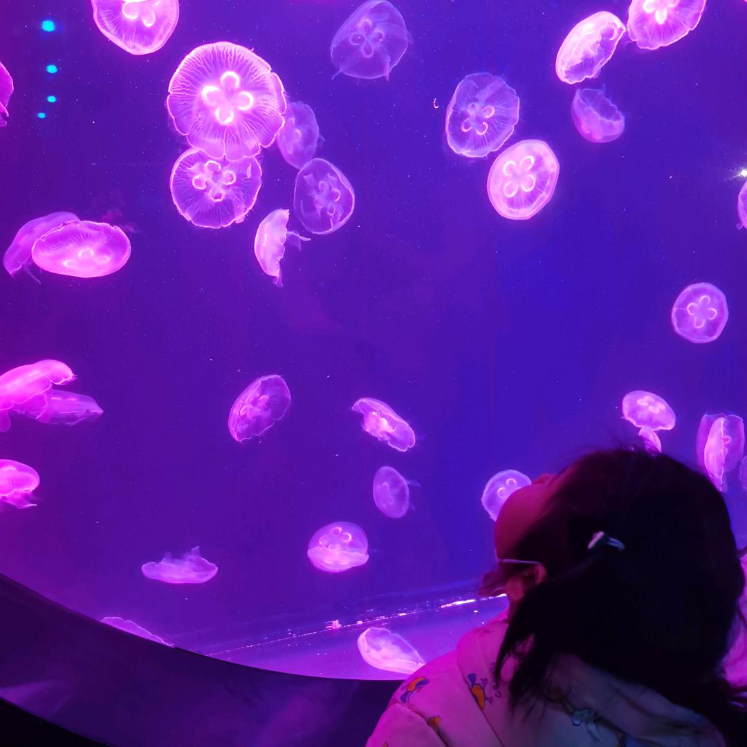 Sarah许