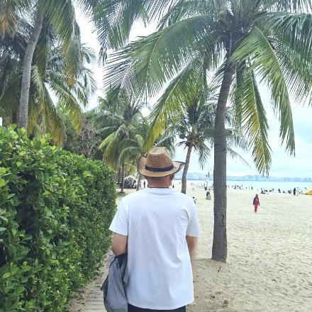 散禾西直播号