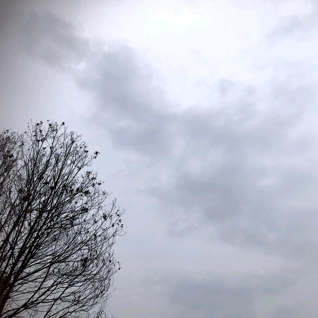 果粒橙～