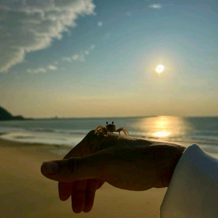 地芬尼多uhh