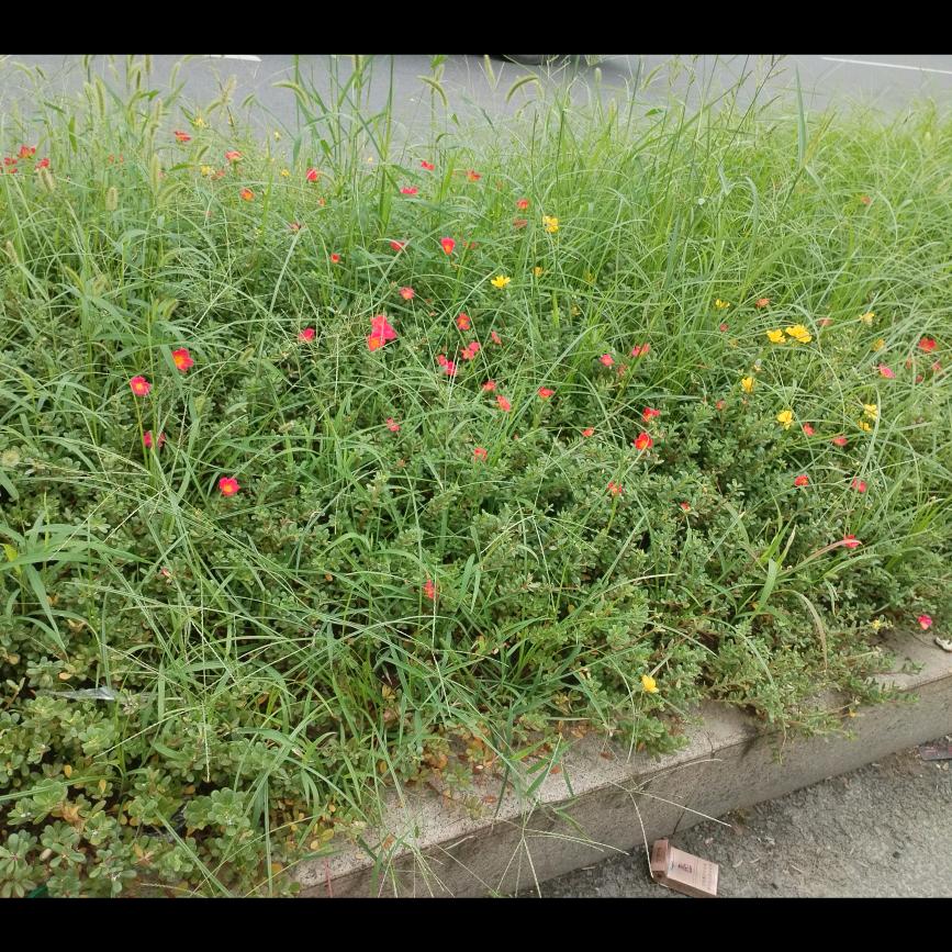 犹如清风梦浮云