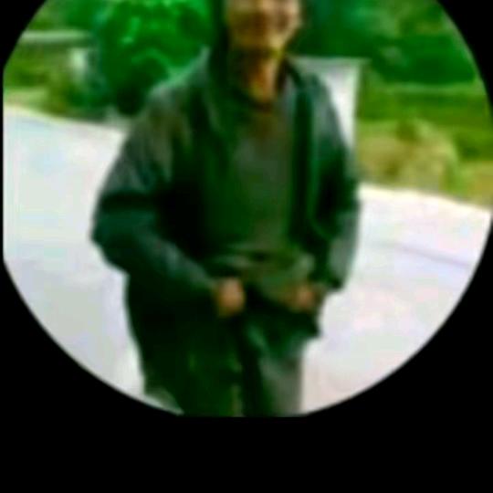 高压锅炖主播