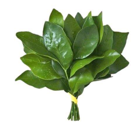 @没钱 你是个🥚啊-