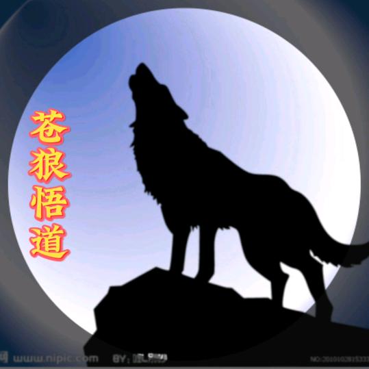苍狼悟道