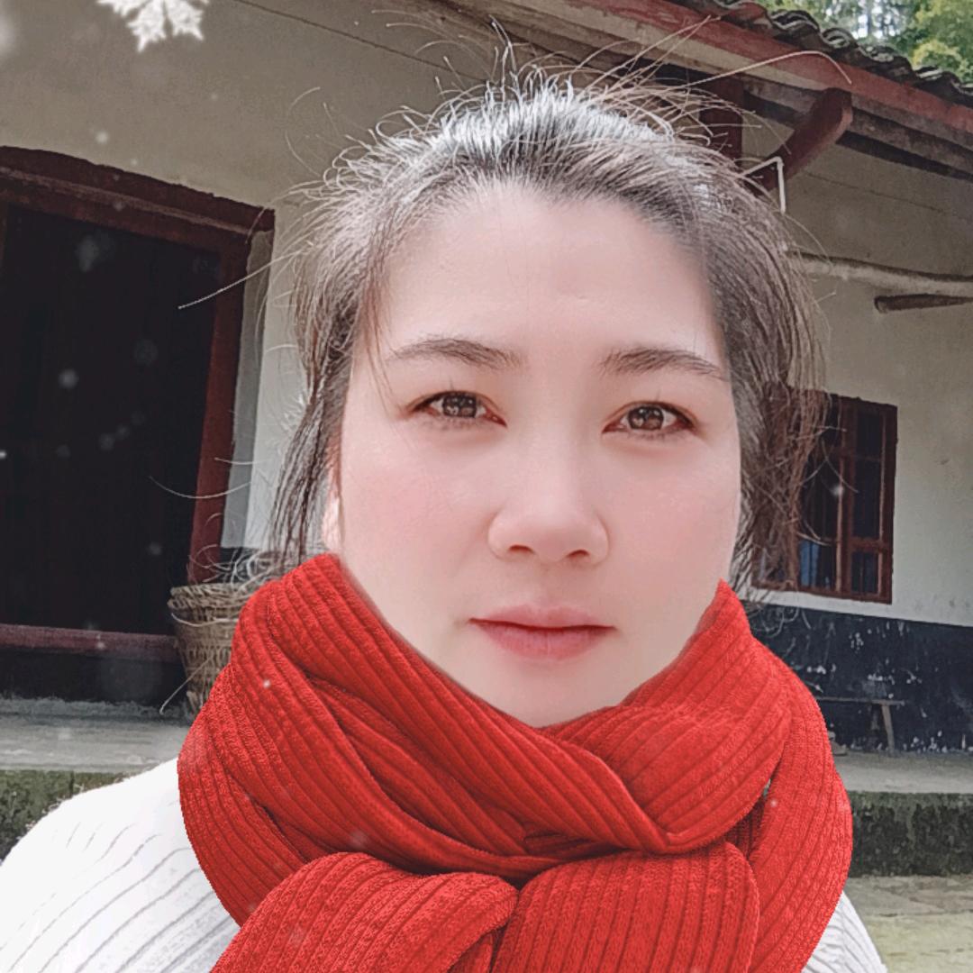 @基层干部（磊娃子）