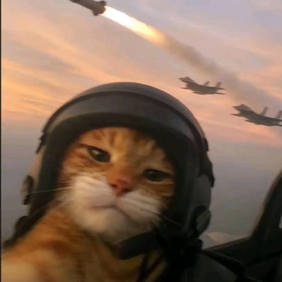 不理（三角洲行动）