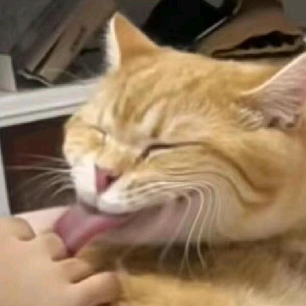 有点头晕