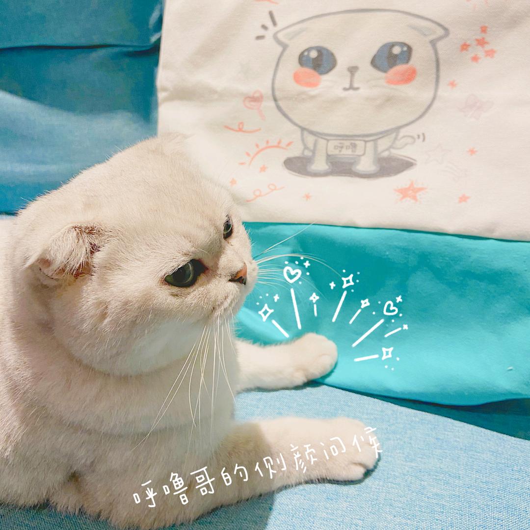 心之所念