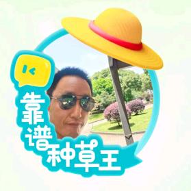 任逍遥——高哥