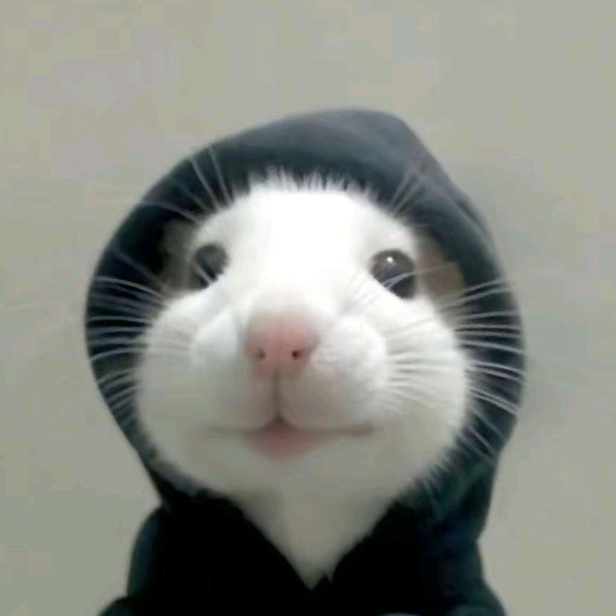 敏感脆弱小女孩