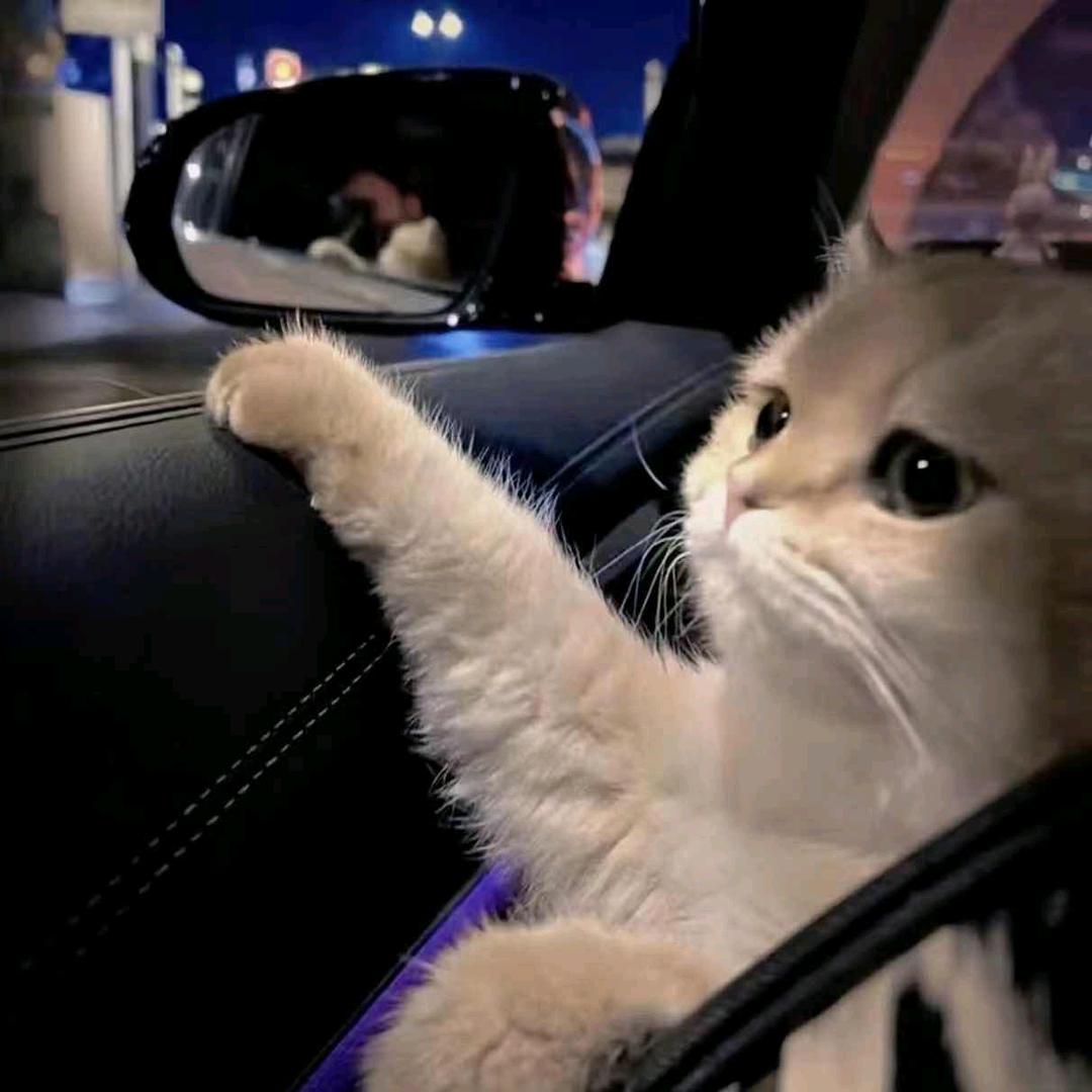 󠀀󠀀󠀀󠀀󠀀󠀀