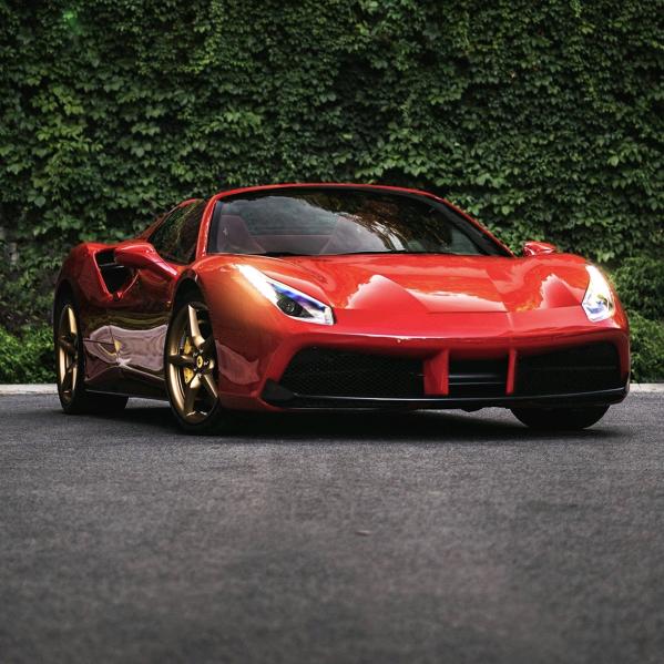 ~~~梅在雪中飘~~~