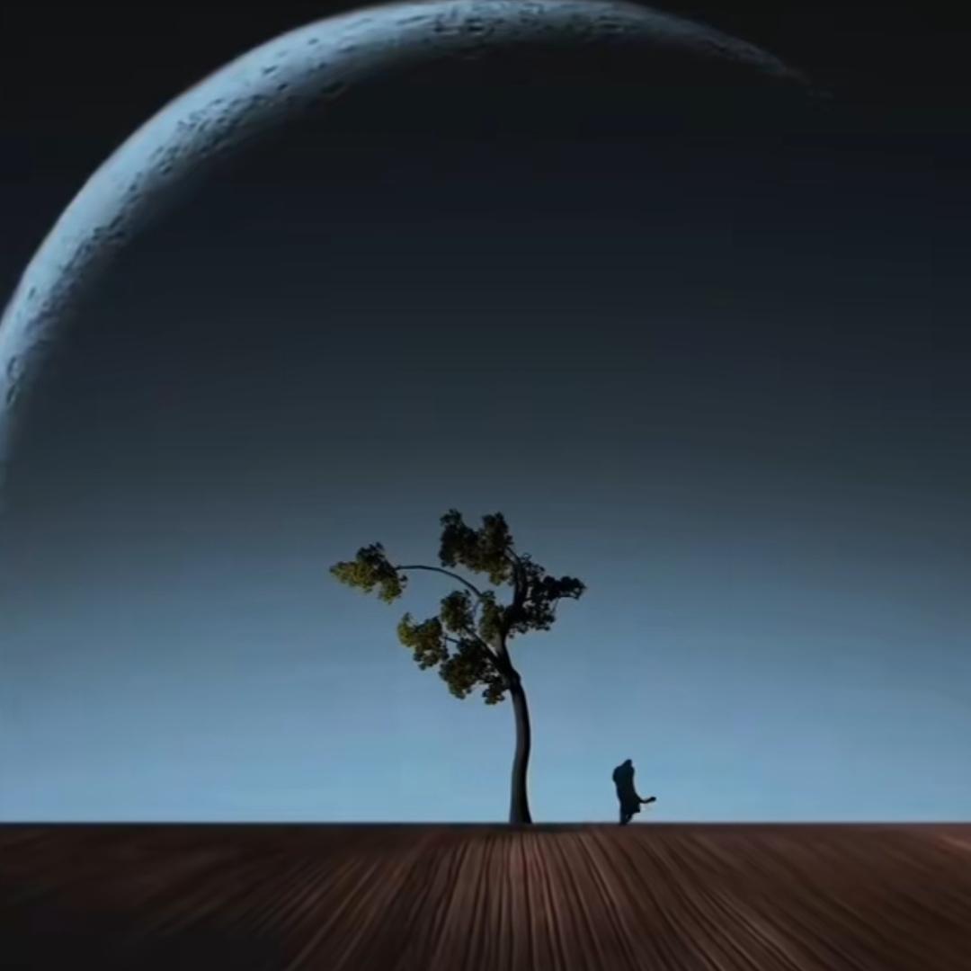用户8633