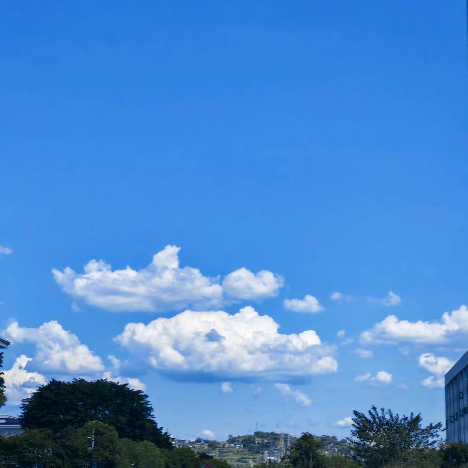 冯～