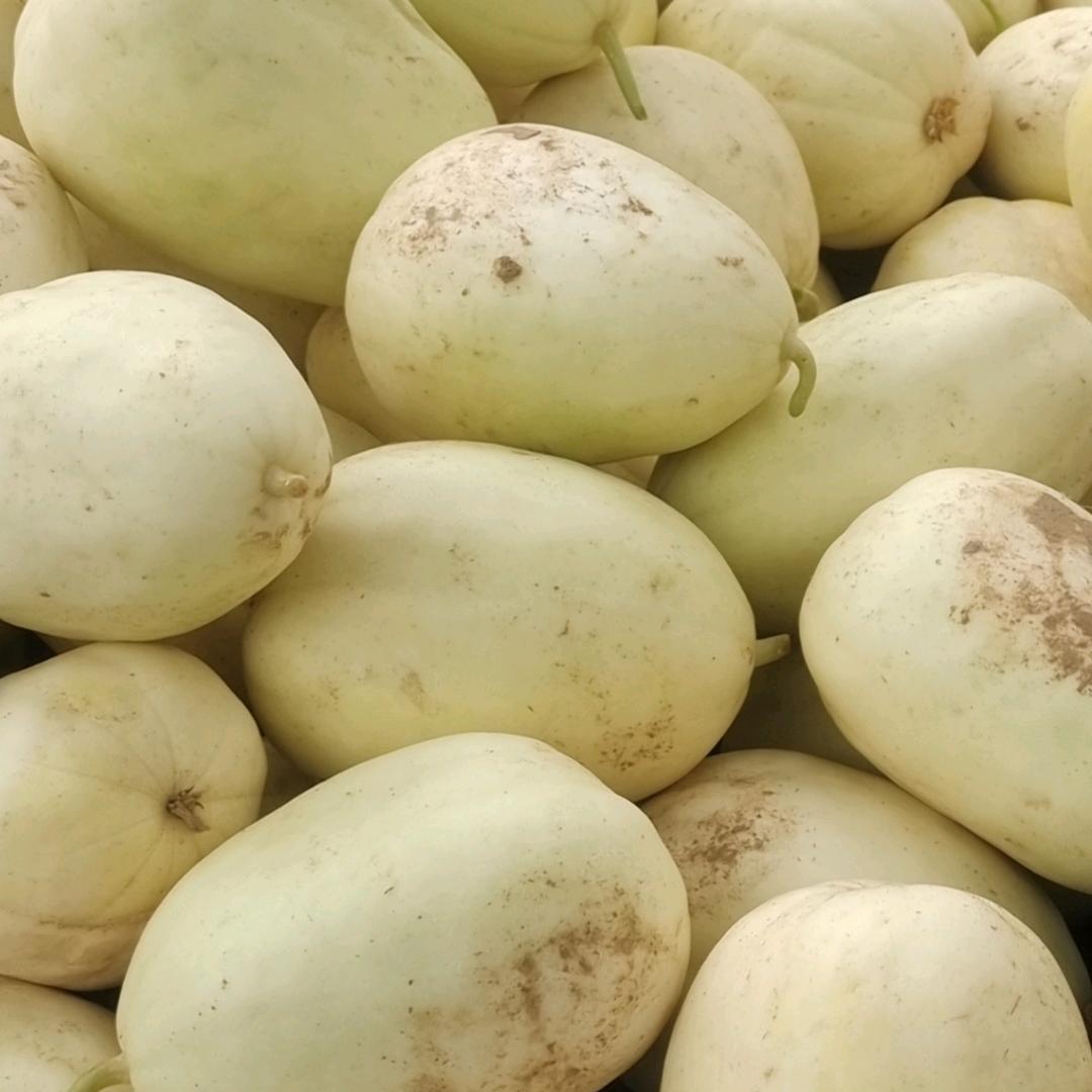 XYA我爱你可爱