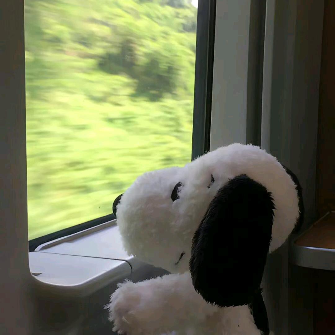 🌈QiQi