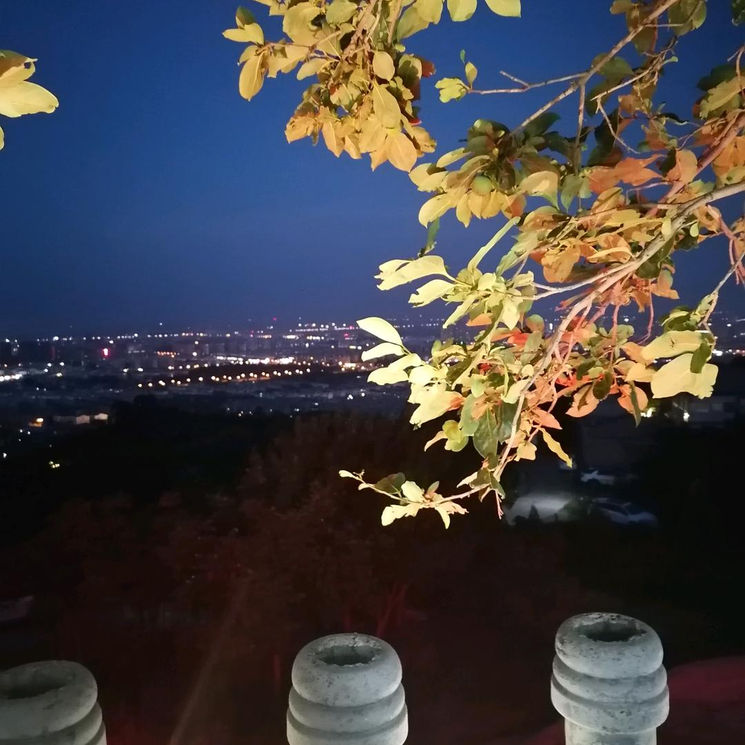 花好月圆夜