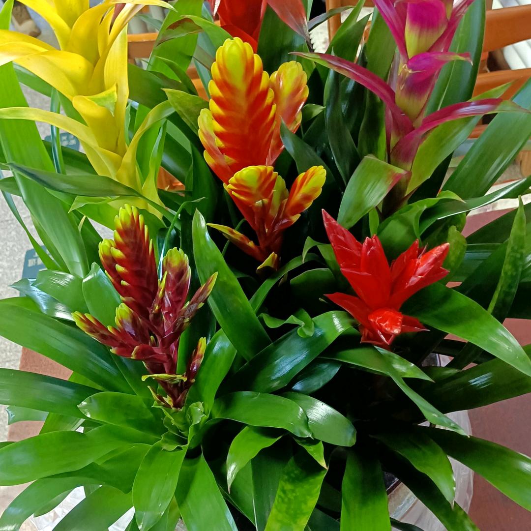 牵挂