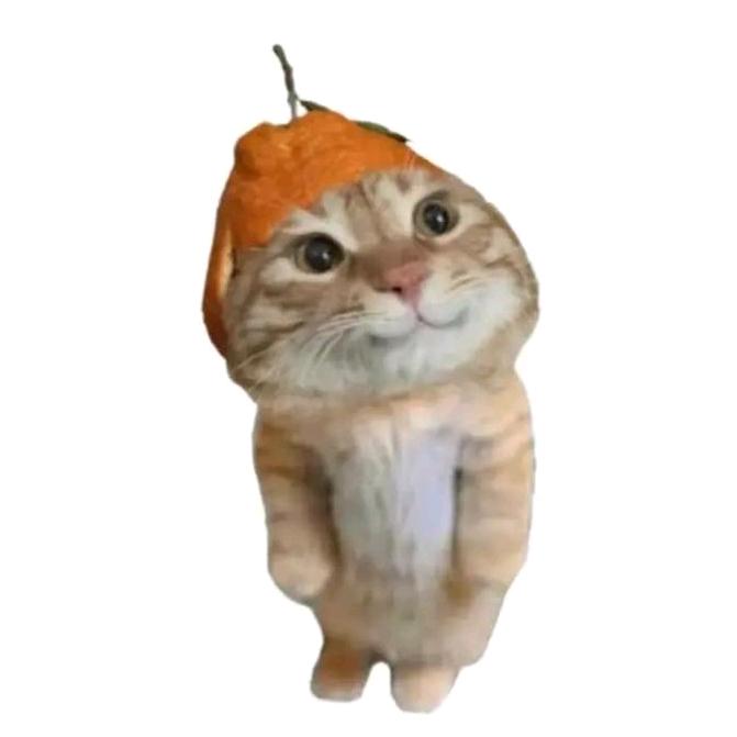 小宇ˣʸ
