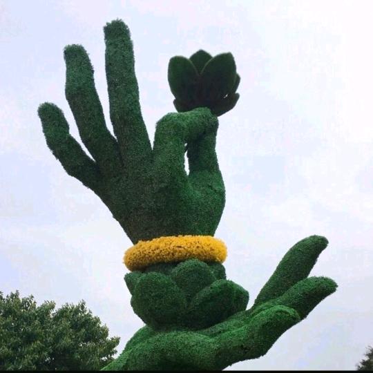寻找❤️