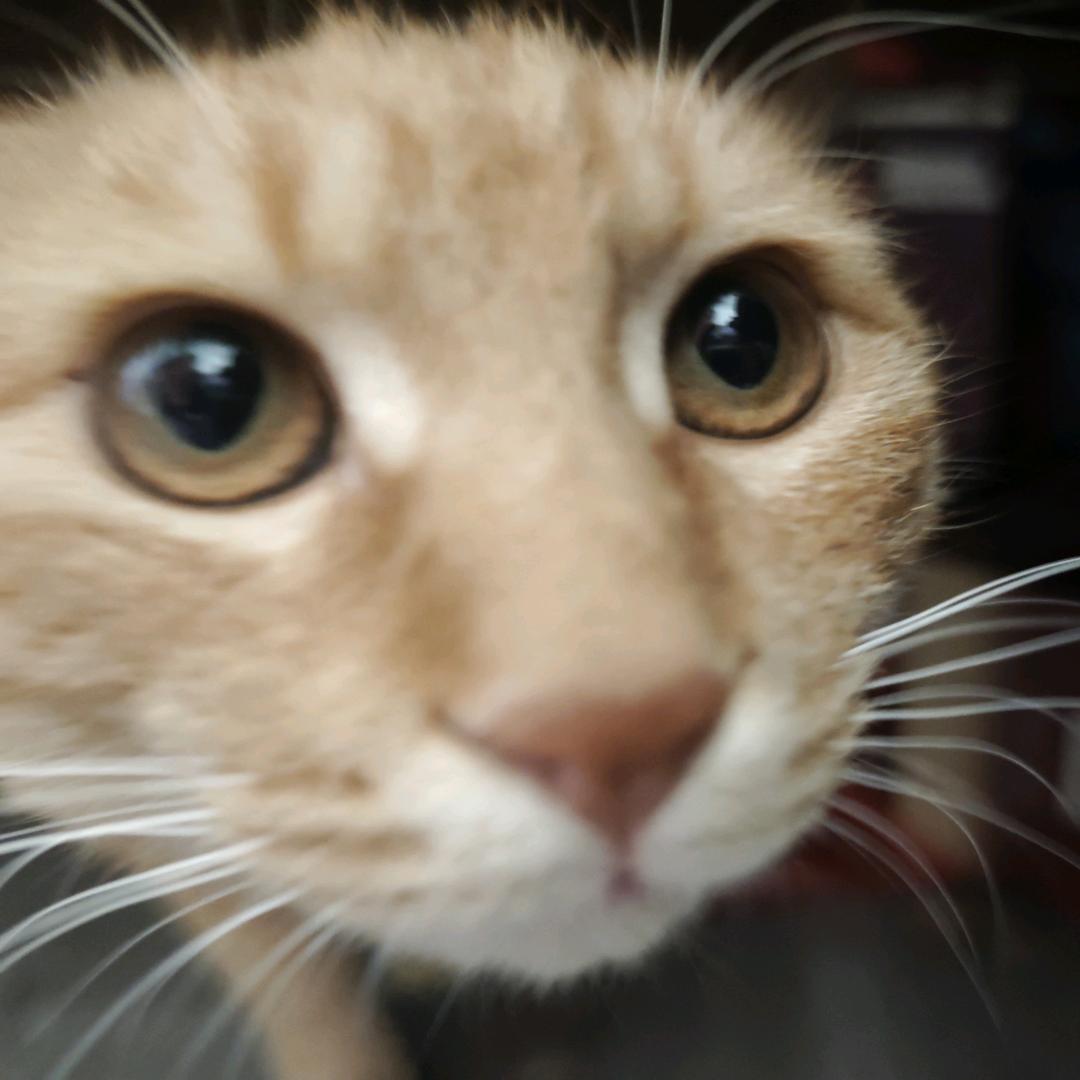 传承古法工艺12