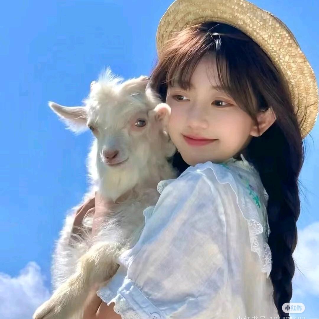绵羊🐑头像