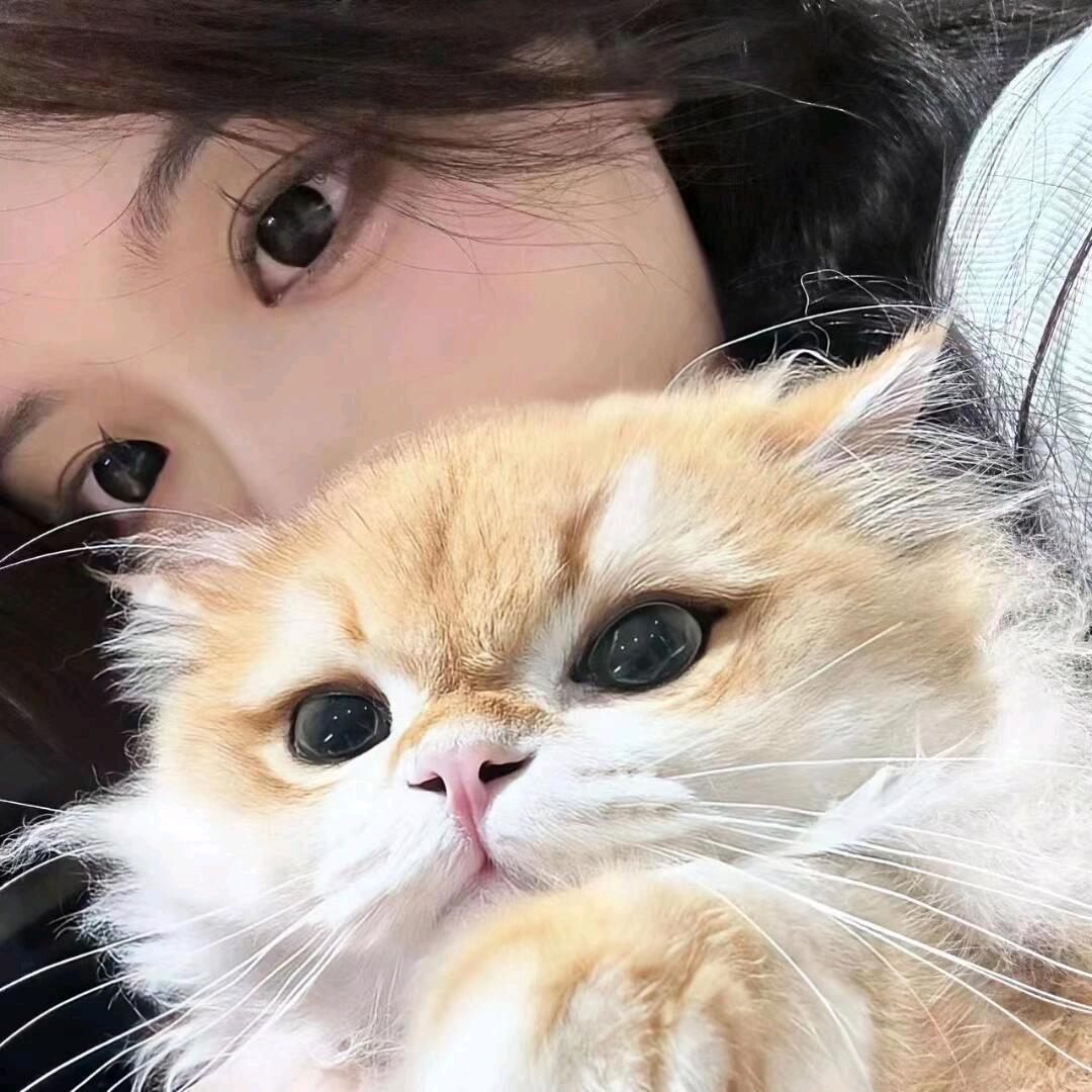 橘子吖