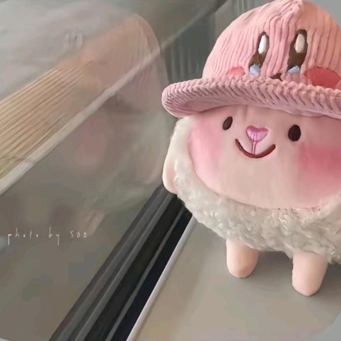 Tulip🐮