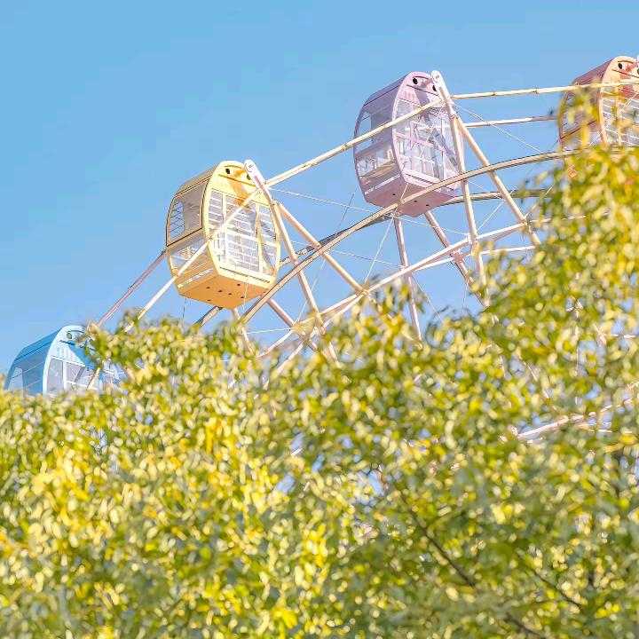 小新的游玩日记