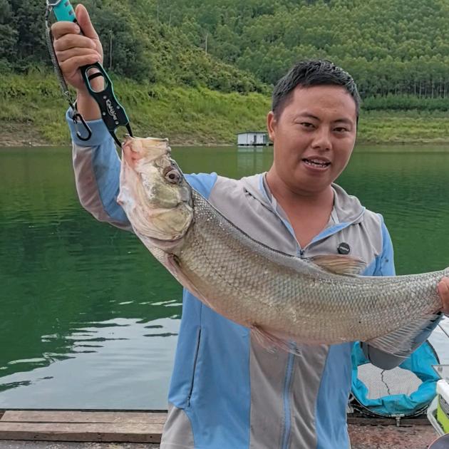 幸会钓鱼