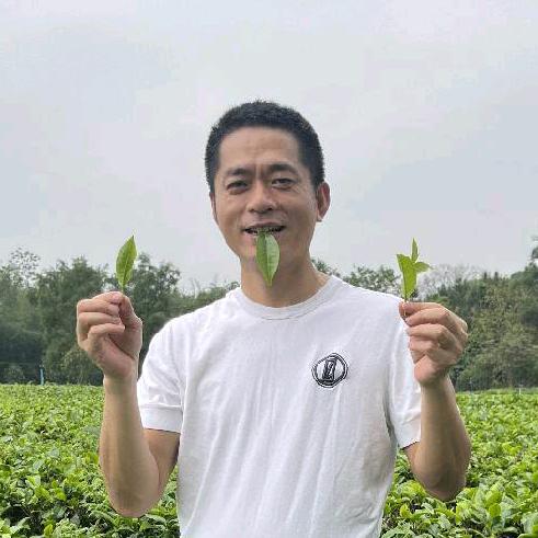 英红九号小羊哥