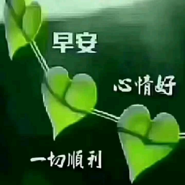 精心装修