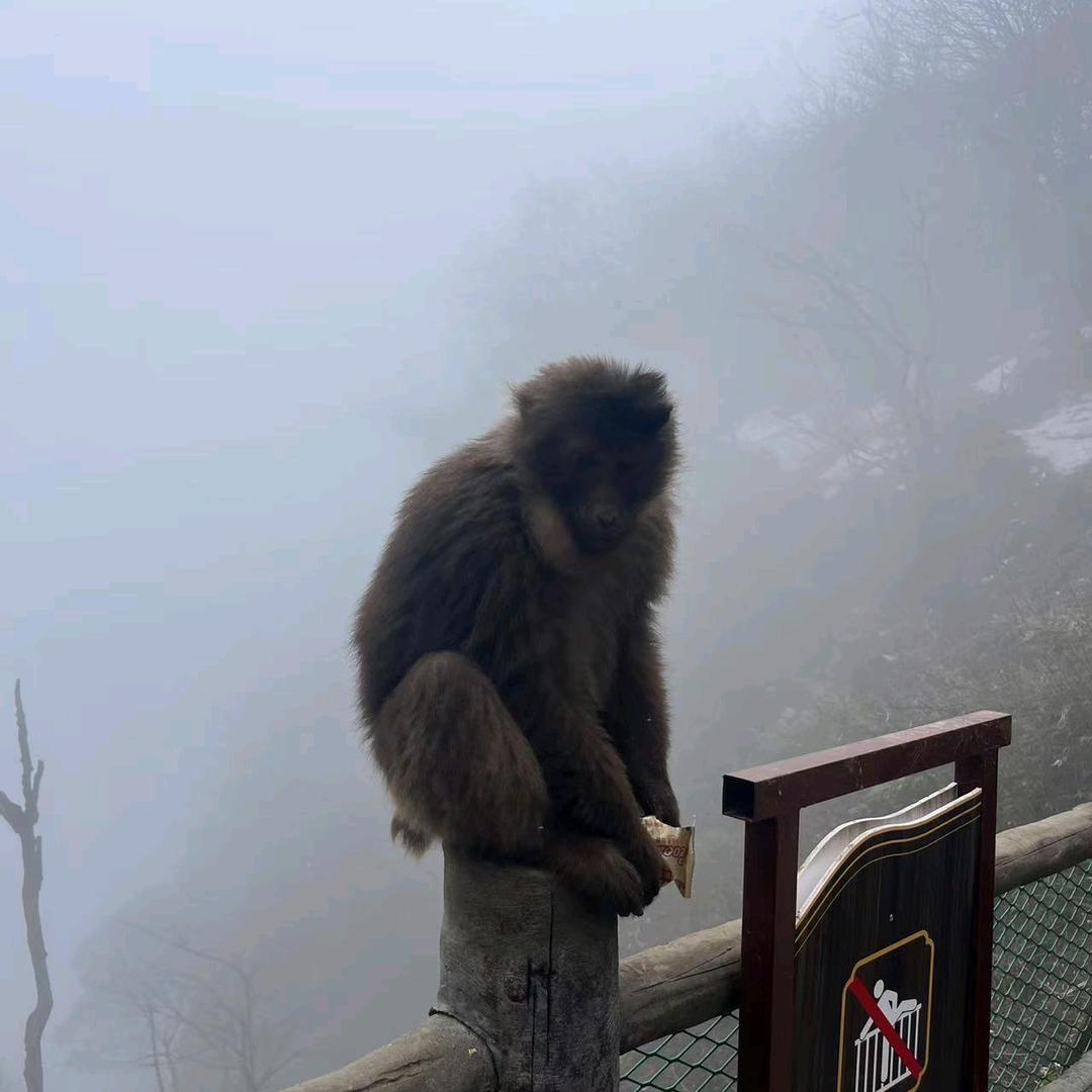 滚烫的米饭