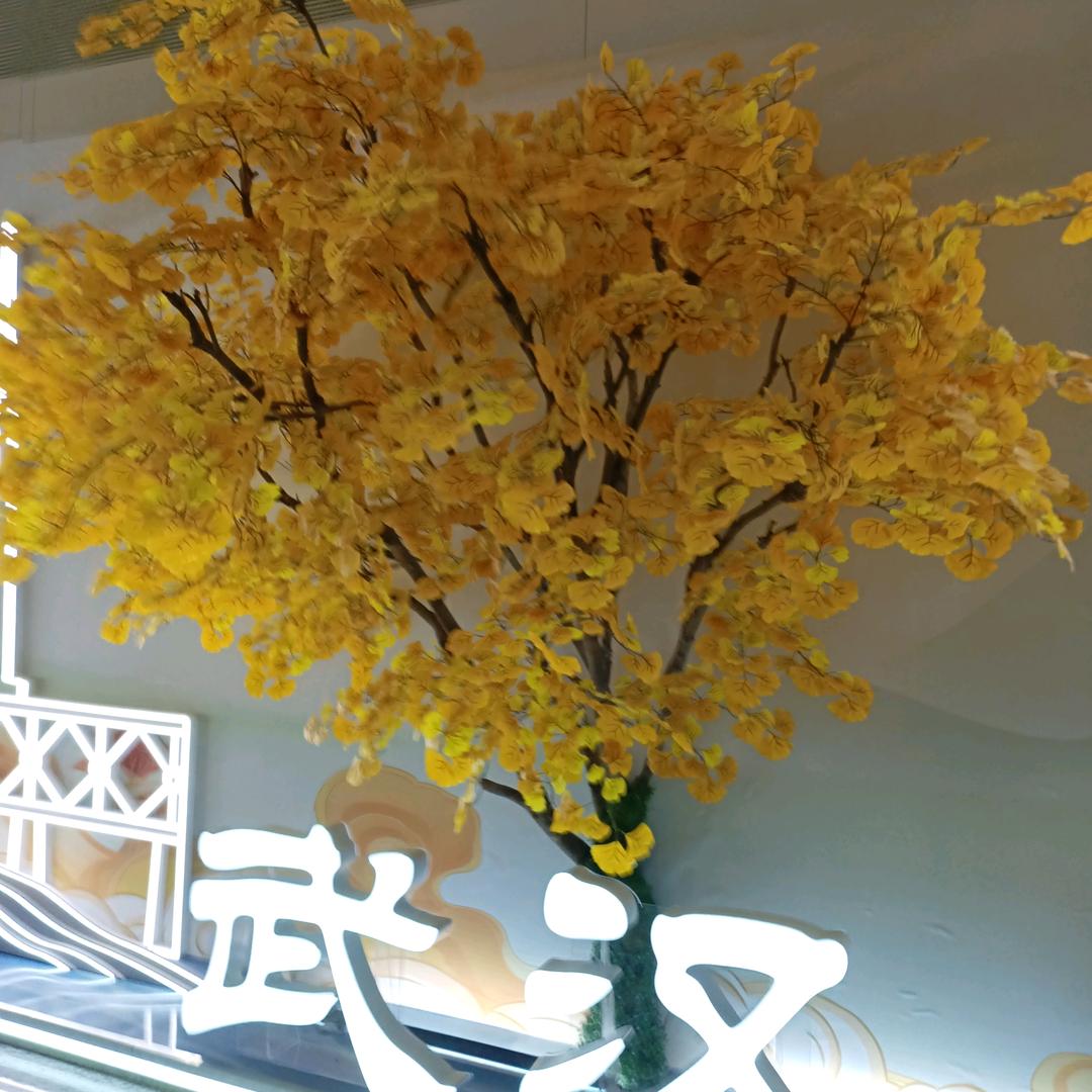罗三姐