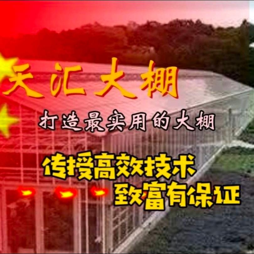 天汇大棚.A
