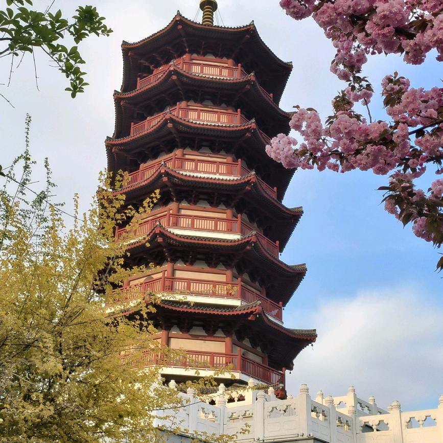 ℋღ᭄马到₅₂₀功陈💞࿐