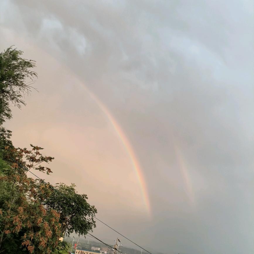 等风来