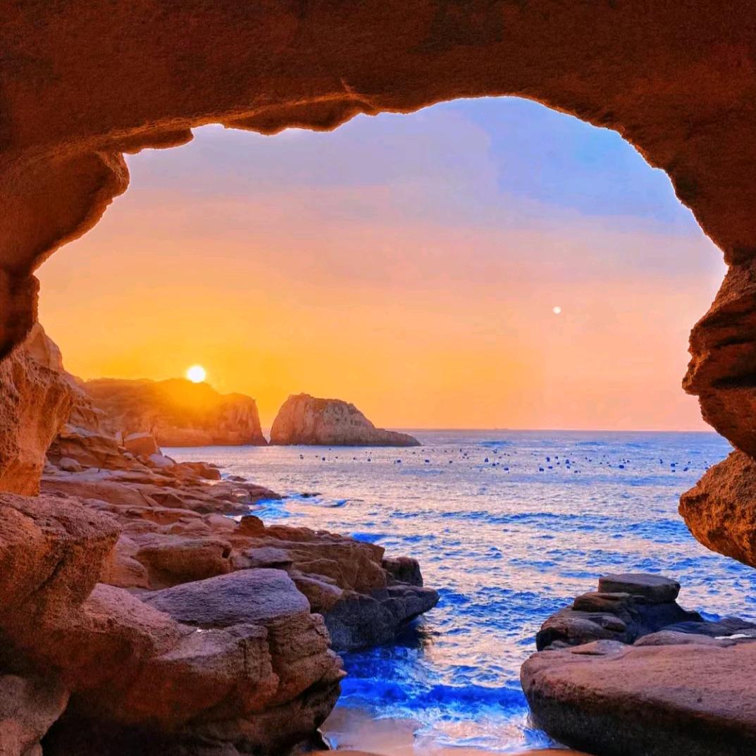 东诚绿植盆景