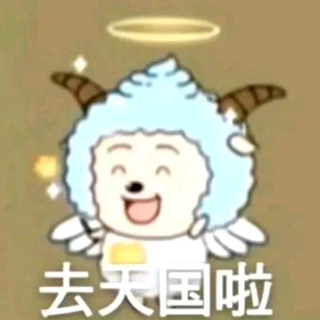 重生之我去你个泡泡茶壶