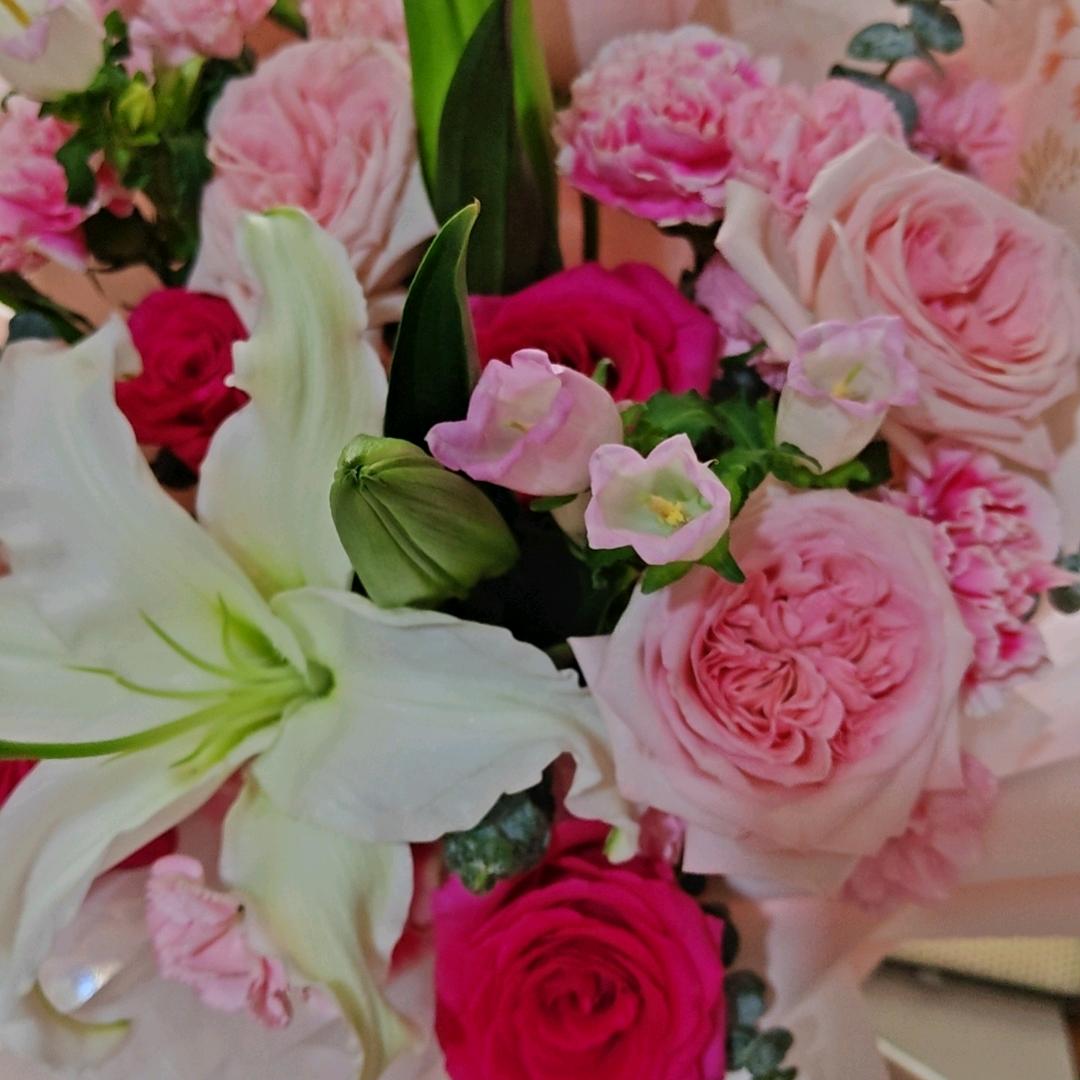 中国人保—敏姐姐