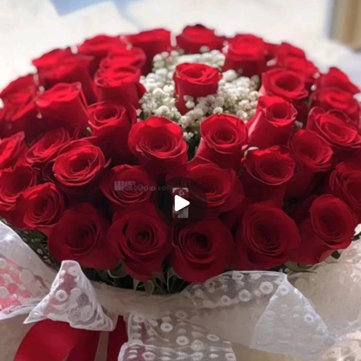 月亮月亮你别笑我