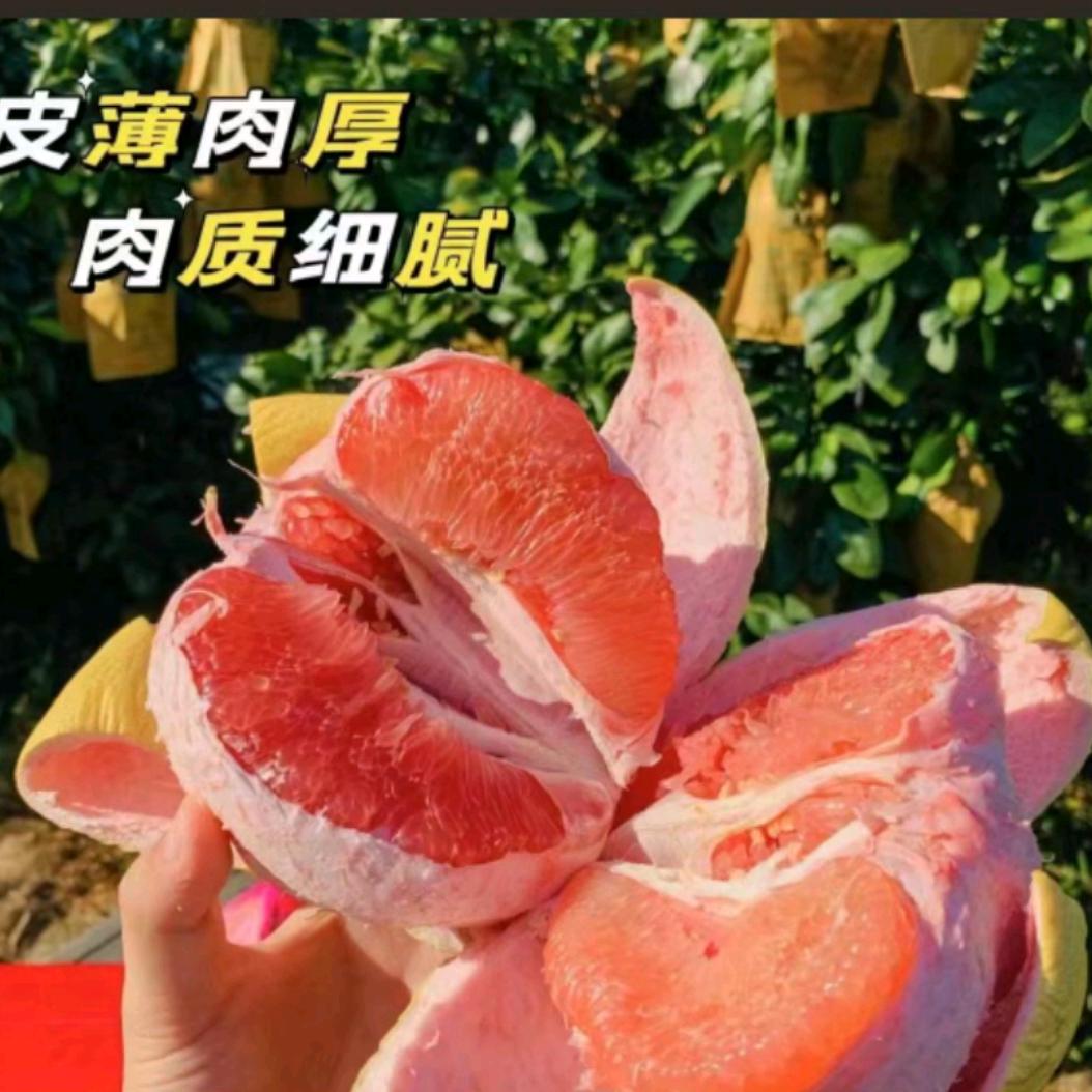 山里香好果